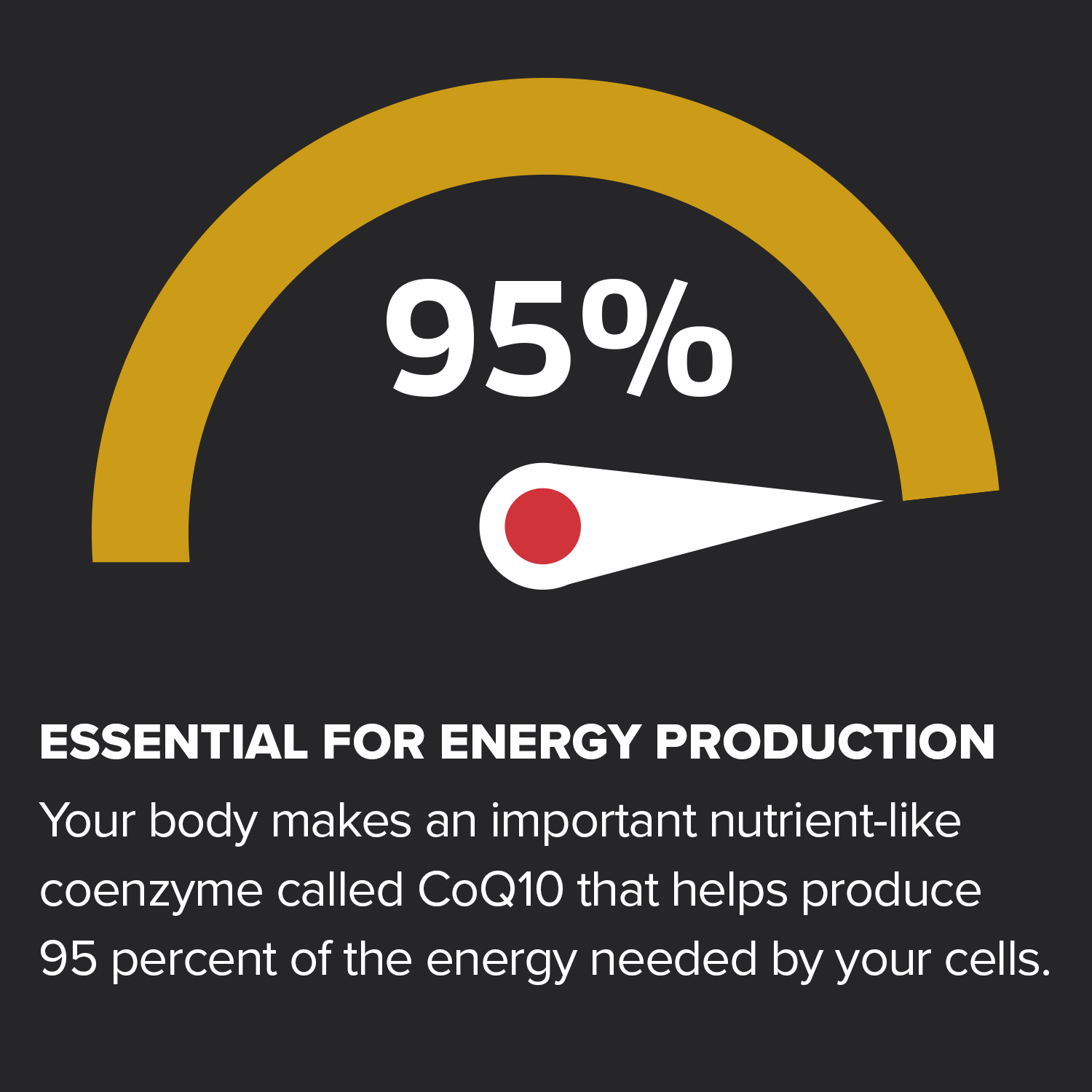 Essential for energy production