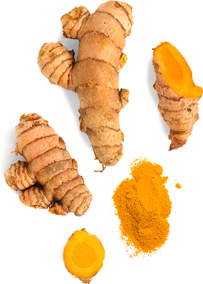 Ginger