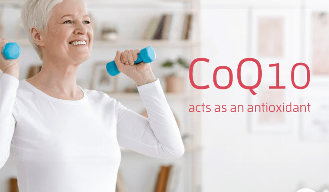CoQ10 acts as an antioxidant
