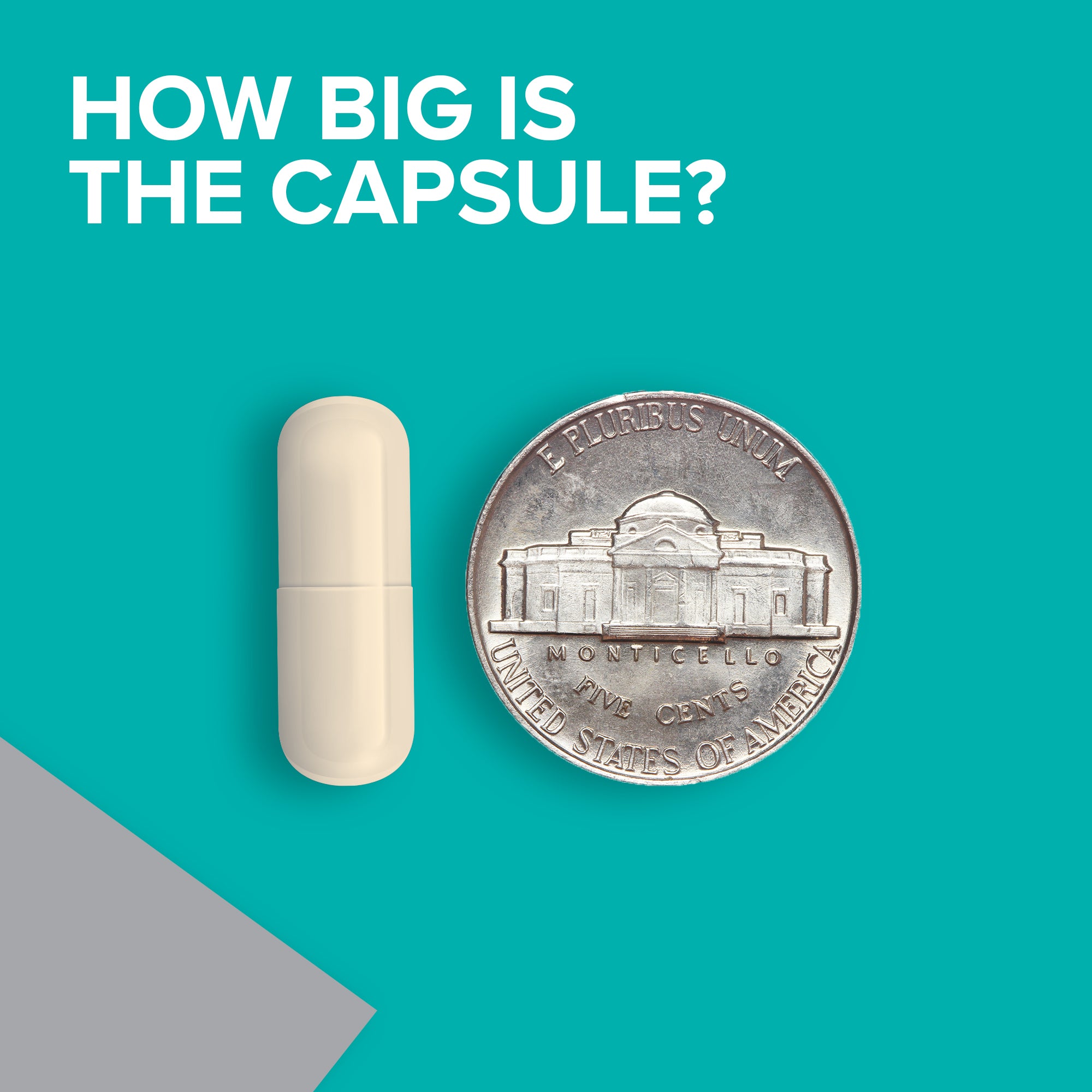 How big is the capsule? The size of a coin