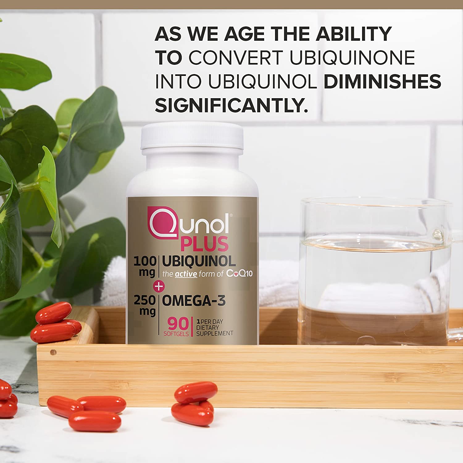 As we age the ability to convert ubiquinone into uniquinol diminishes significantly