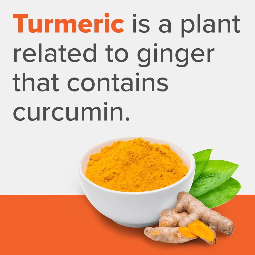 Qunol Liquid Turmeric Curcumin Complex - plant related to Ginger